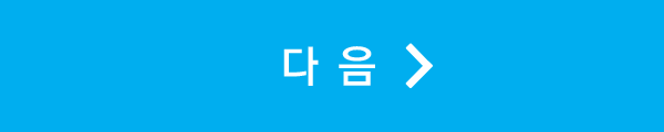 다음